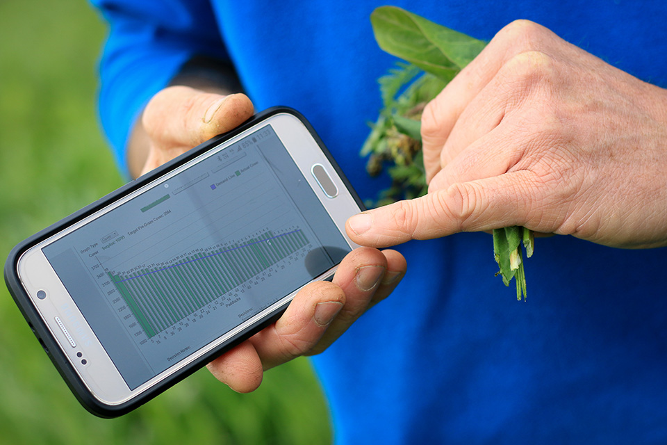 Someone operating a mobile device showing a decreasing trend in graze cover in meadows over time